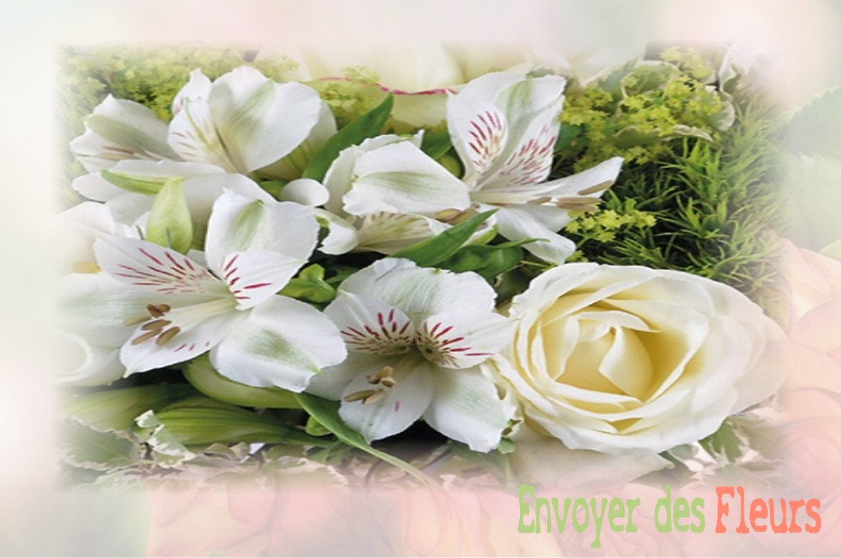 envoyer des fleurs à à SAINT-VINCENT-D-OLARGUES
